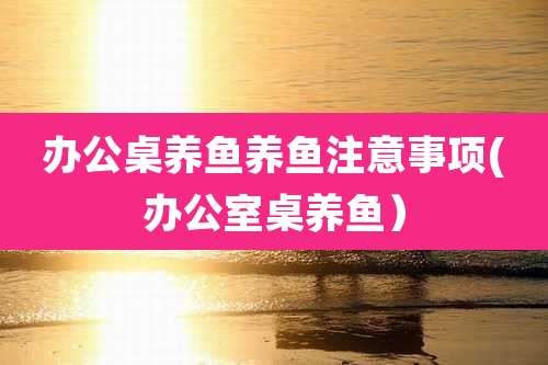 办公桌养鱼养鱼注意事项(办公室桌养鱼)