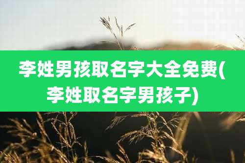 李姓男孩取名字大全免费(李姓取名字男孩子)