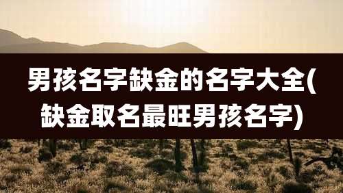 男孩名字缺金的名字大全(缺金取名最旺男孩名字)