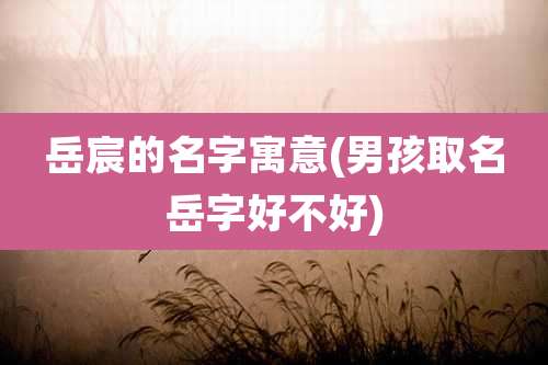 岳宸的名字寓意(男孩取名岳字好不好)