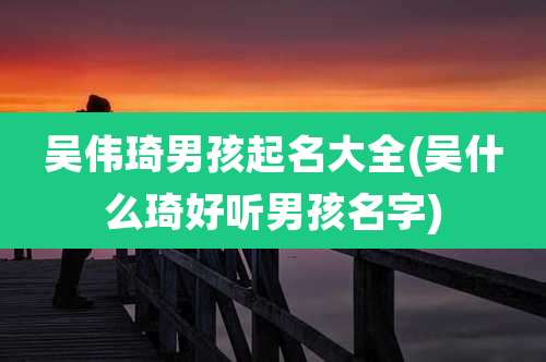 吴伟琦男孩起名大全(吴什么琦好听男孩名字)