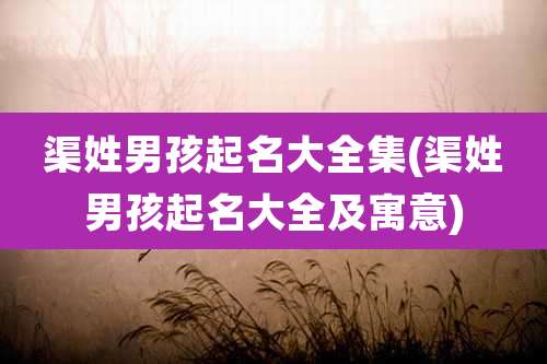 渠姓男孩起名大全集(渠姓男孩起名大全及寓意)