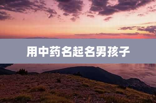 用中药名起名男孩子