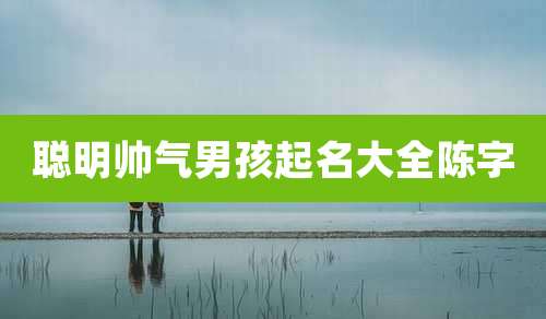 聪明帅气男孩起名大全陈字