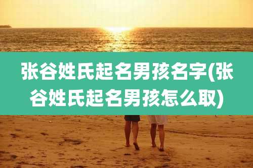 张谷姓氏起名男孩名字(张谷姓氏起名男孩怎么取)