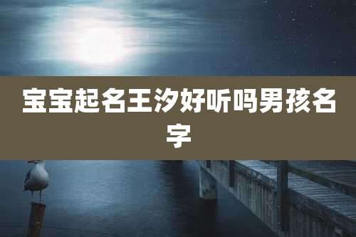 宝宝起名王汐好听吗男孩名字