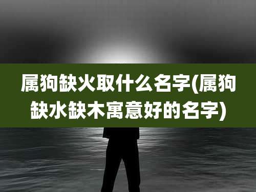 属狗缺火取什么名字(属狗缺水缺木寓意好的名字)