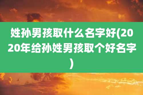 姓孙男孩取什么名字好(2020年给孙姓男孩取个好名字)