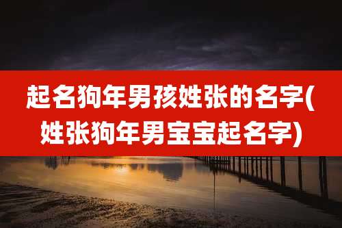 起名狗年男孩姓张的名字(姓张狗年男宝宝起名字)