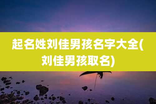 起名姓刘佳男孩名字大全(刘佳男孩取名)