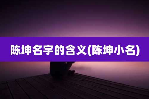 陈坤名字的含义(陈坤小名)