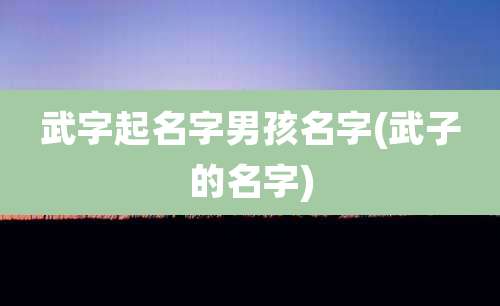 武字起名字男孩名字(武子的名字)