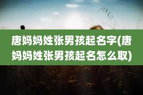 唐妈妈姓张男孩起名字(唐妈妈姓张男孩起名怎么取)