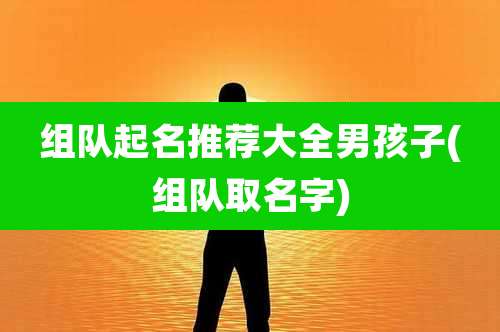 组队起名推荐大全男孩子(组队取名字)