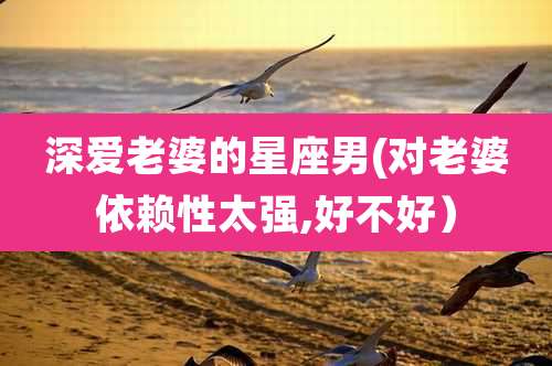 深爱老婆的星座男(对老婆依赖性太强,好不好）