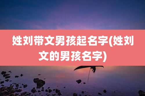 姓刘带文男孩起名字(姓刘文的男孩名字)