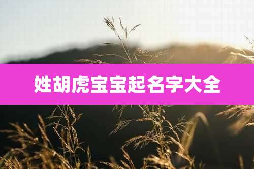 姓胡虎宝宝起名字大全