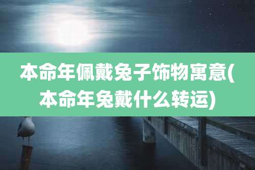 本命年佩戴兔子饰物寓意(本命年兔戴什么转运)