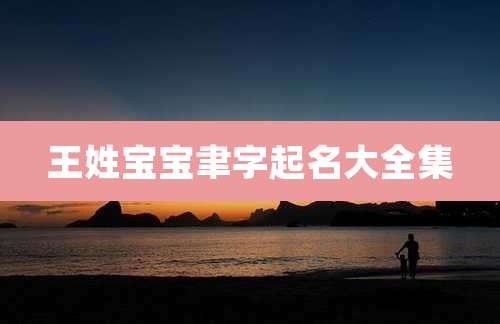王姓宝宝聿字起名大全集