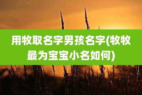 用牧取名字男孩名字(牧牧最为宝宝小名如何)