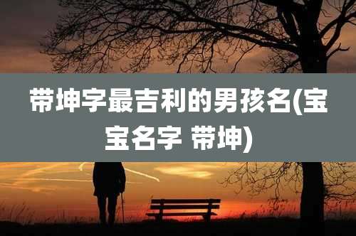 带坤字最吉利的男孩名(宝宝名字 带坤)