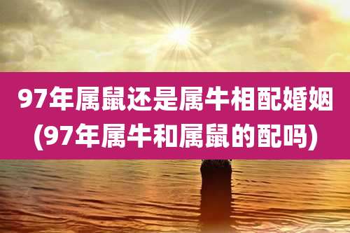 97年属鼠还是属牛相配婚姻(97年属牛和属鼠的配吗)