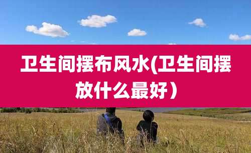 卫生间摆布风水(卫生间摆放什么最好）