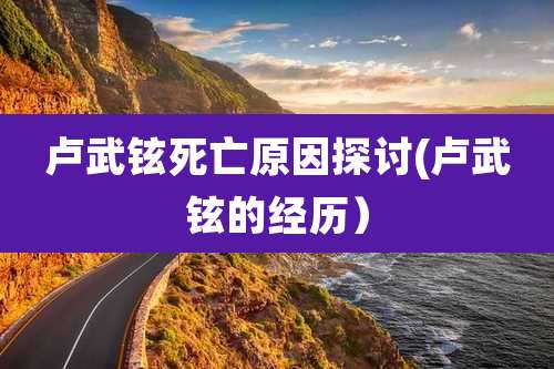 卢武铉死亡原因探讨(卢武铉的经历）