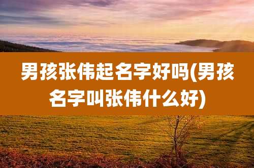 男孩张伟起名字好吗(男孩名字叫张伟什么好)