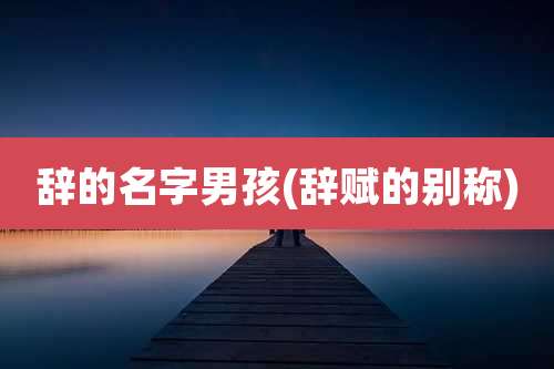 辞的名字男孩(辞赋的别称)