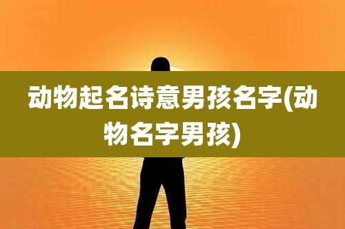 动物起名诗意男孩名字(动物名字男孩)