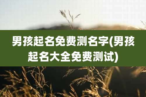 男孩起名免费测名字(男孩起名大全免费测试)