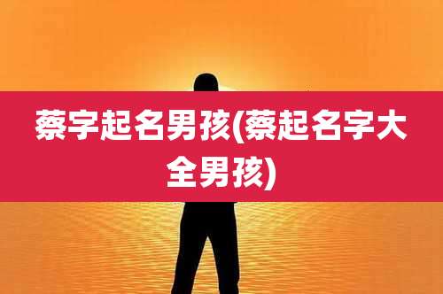蔡字起名男孩(蔡起名字大全男孩)
