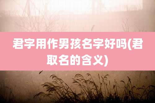 君字用作男孩名字好吗(君取名的含义)