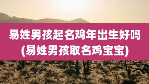 易姓男孩起名鸡年出生好吗(易姓男孩取名鸡宝宝)