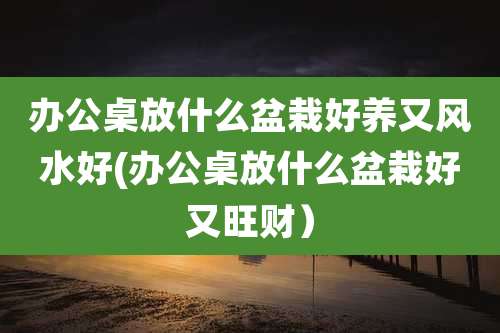 办公桌放什么盆栽好养又风水好(办公桌放什么盆栽好又旺财)