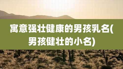 寓意强壮健康的男孩乳名(男孩健壮的小名)