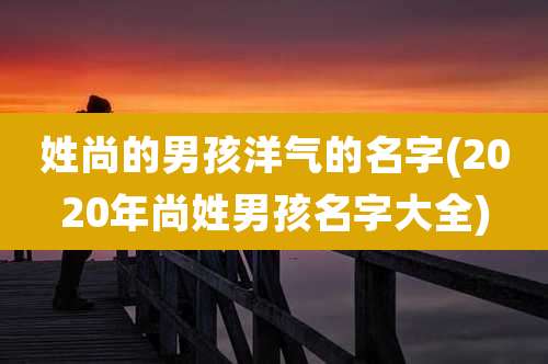 姓尚的男孩洋气的名字(2020年尚姓男孩名字大全)