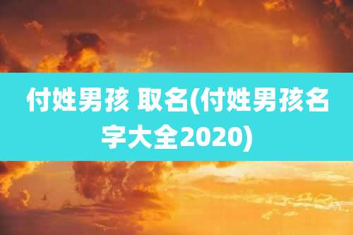 付姓男孩 取名(付姓男孩名字大全2020)