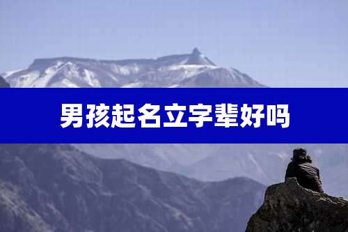 男孩起名立字辈好吗