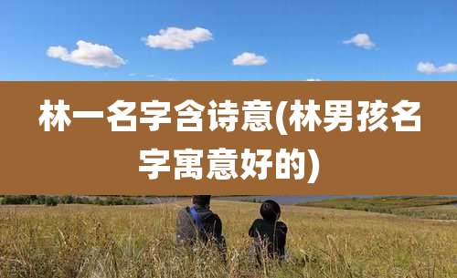 林一名字含诗意(林男孩名字寓意好的)