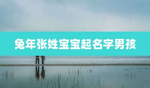 兔年张姓宝宝起名字男孩
