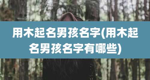 用木起名男孩名字(用木起名男孩名字有哪些)