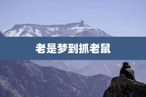 老是梦到抓老鼠