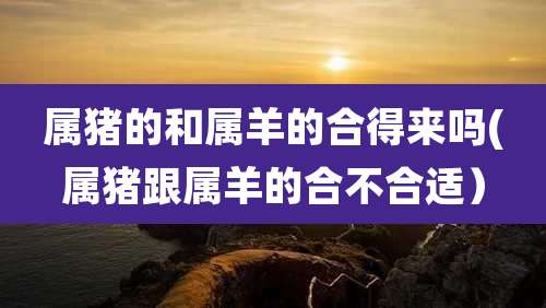 属猪的和属羊的合得来吗(属猪跟属羊的合不合适)