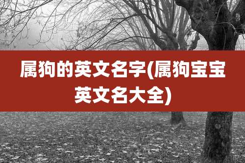 属狗的英文名字(属狗宝宝英文名大全)