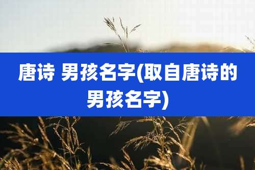 唐诗 男孩名字(取自唐诗的男孩名字)