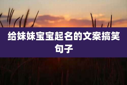 给妹妹宝宝起名的文案搞笑句子