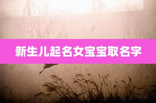 新生儿起名女宝宝取名字