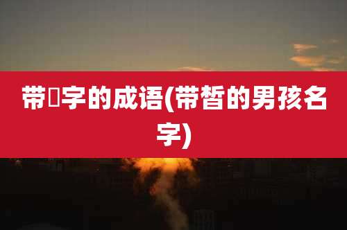 带纮字的成语(带皙的男孩名字)